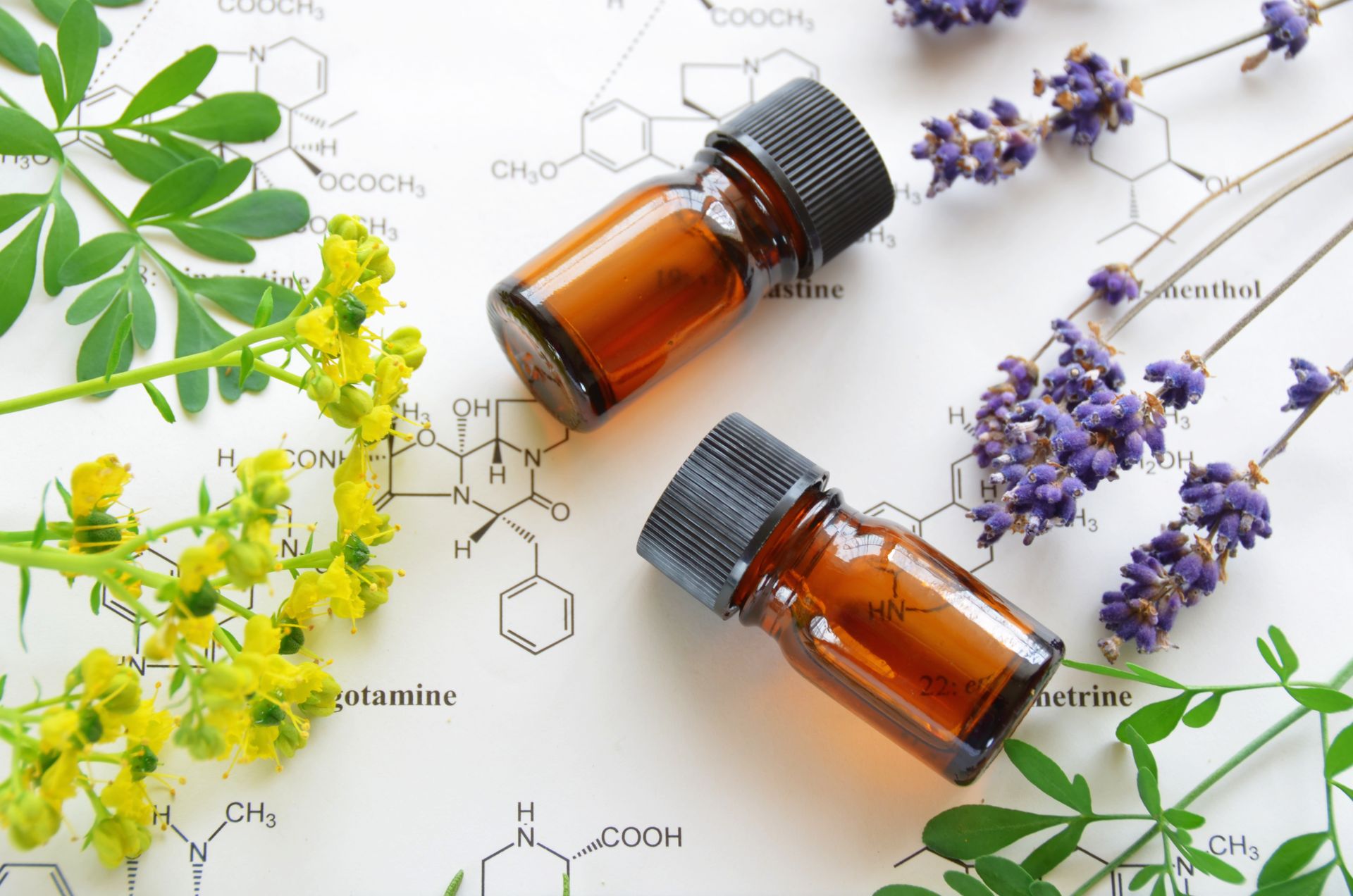 Aceites esenciales / Essential Oils