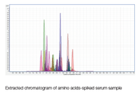 Quantitative Amino Acids Analysis