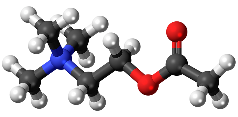 Fractionated catecholamines in urine by HPLC MS/MS